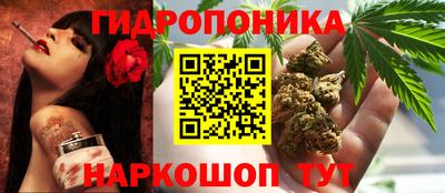 дмт Малгобек