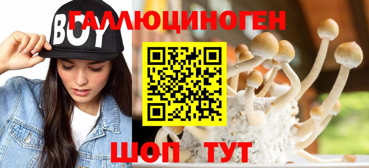 Псилоцибиновые грибы Psilocybine cubensis  Галлюциногенные грибы Psilocybe  Вход с VPN  Соль-Илецк 